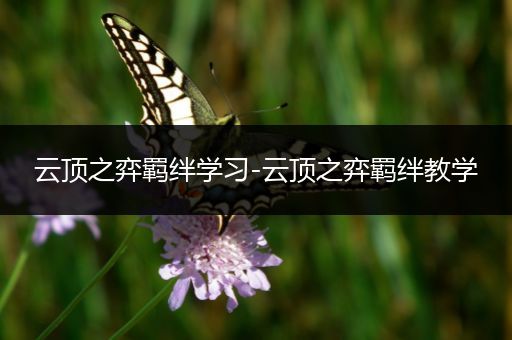云顶之弈羁绊学习-云顶之弈羁绊教学