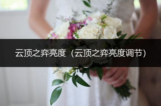 云顶之弈亮度（云顶之弈亮度调节）