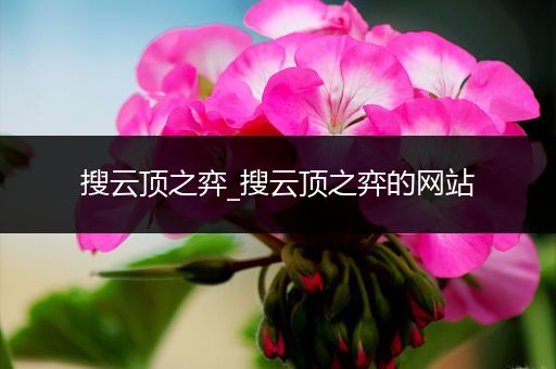 搜云顶之弈_搜云顶之弈的网站