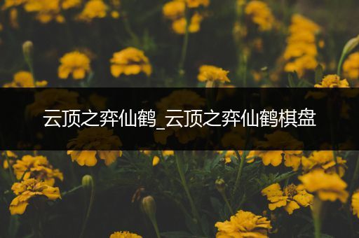云顶之弈仙鹤_云顶之弈仙鹤棋盘