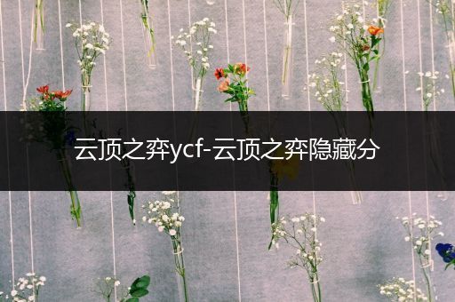 云顶之弈ycf-云顶之弈隐藏分