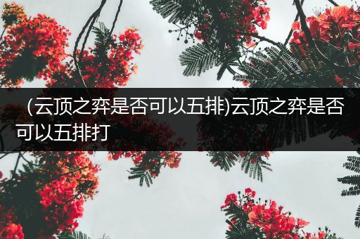 （云顶之弈是否可以五排)云顶之弈是否可以五排打