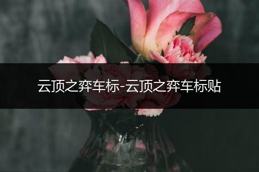 云顶之弈车标-云顶之弈车标贴