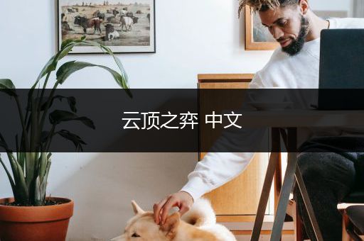 云顶之弈 中文