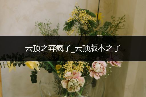 云顶之弈疯子_云顶版本之子