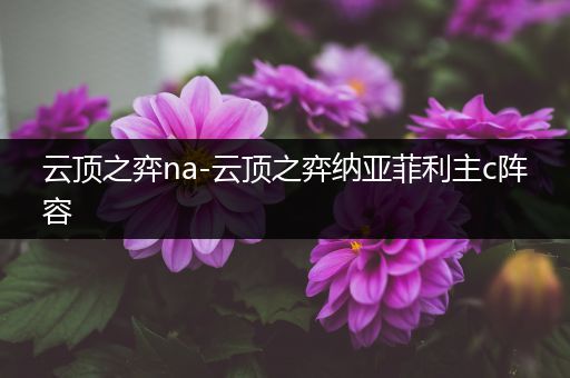 云顶之弈na-云顶之弈纳亚菲利主c阵容