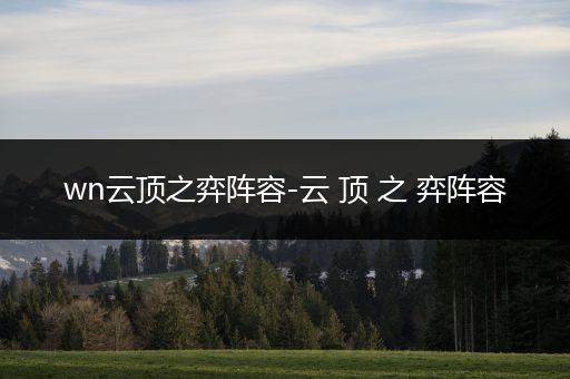 wn云顶之弈阵容-云 顶 之 弈阵容