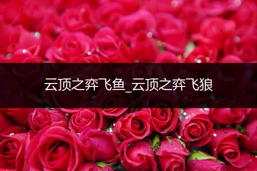 云顶之弈飞鱼_云顶之弈飞狼