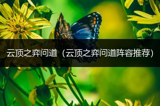 云顶之弈问道（云顶之弈问道阵容推荐）
