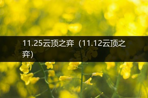 11.25云顶之弈（11.12云顶之弈）