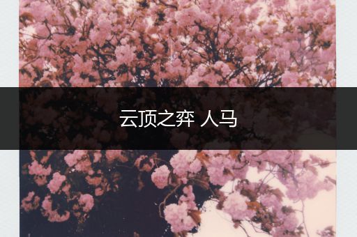 云顶之弈 人马