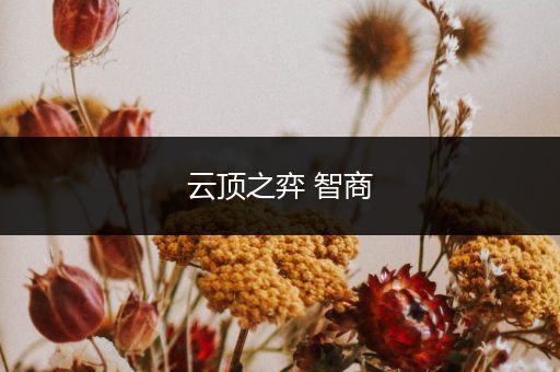 云顶之弈 智商