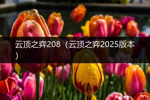 云顶之弈208（云顶之弈2025版本）