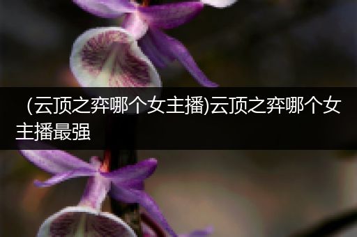 （云顶之弈哪个女主播)云顶之弈哪个女主播最强