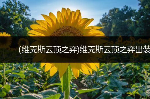 （维克斯云顶之弈)维克斯云顶之弈出装