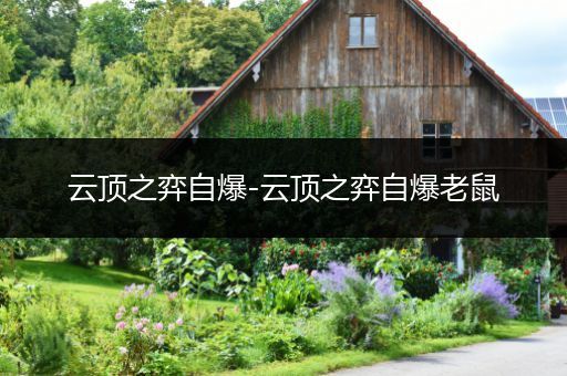 云顶之弈自爆-云顶之弈自爆老鼠