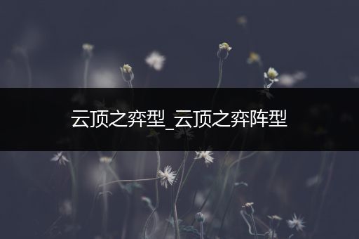 云顶之弈型_云顶之弈阵型