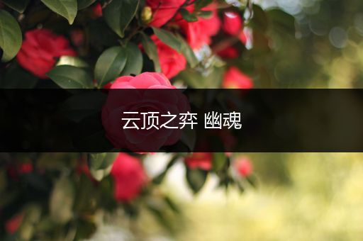 云顶之弈 幽魂