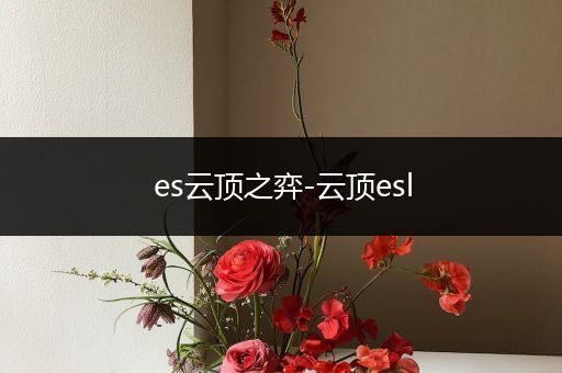 es云顶之弈-云顶esl