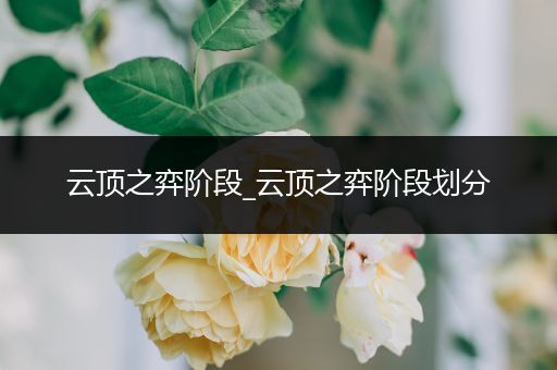 云顶之弈阶段_云顶之弈阶段划分