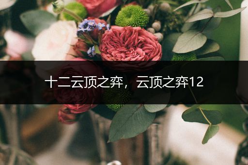 十二云顶之弈，云顶之弈12