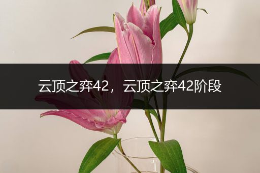 云顶之弈42，云顶之弈42阶段