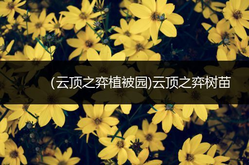 （云顶之弈植被园)云顶之弈树苗