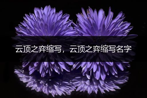 云顶之弈缩写，云顶之弈缩写名字