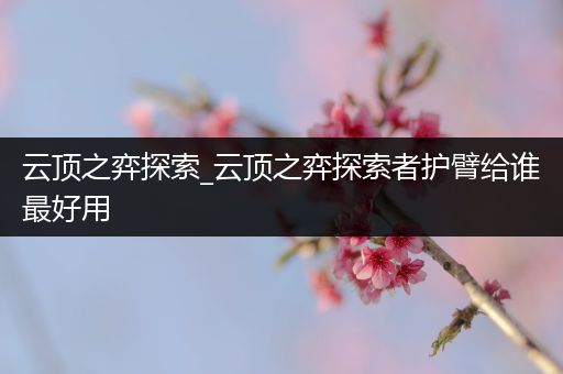 云顶之弈探索_云顶之弈探索者护臂给谁最好用