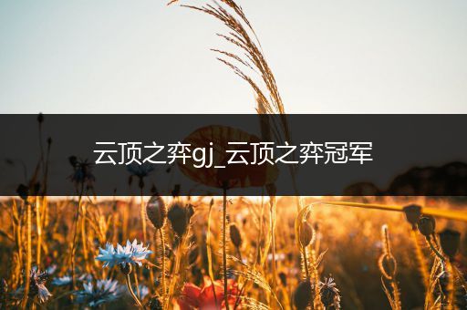 云顶之弈gj_云顶之弈冠军