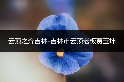 云顶之弈吉林-吉林市云顶老板贾玉坤