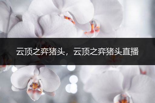云顶之弈猪头，云顶之弈猪头直播