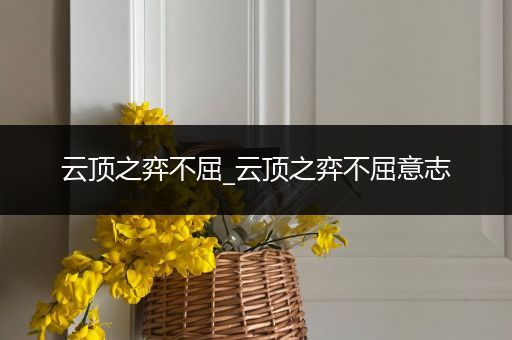 云顶之弈不屈_云顶之弈不屈意志