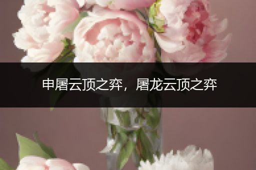 申屠云顶之弈，屠龙云顶之弈