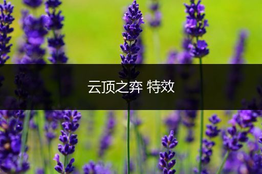 云顶之弈 特效