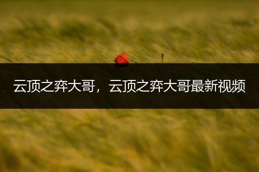 云顶之弈大哥，云顶之弈大哥最新视频