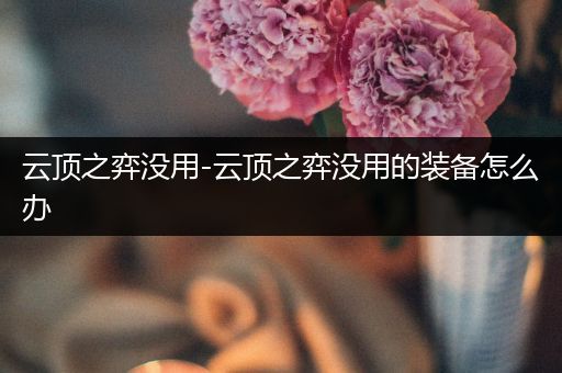 云顶之弈没用-云顶之弈没用的装备怎么办