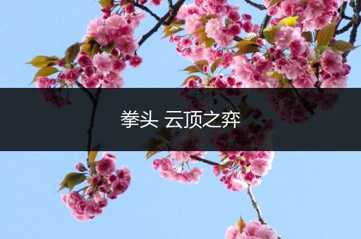 拳头 云顶之弈