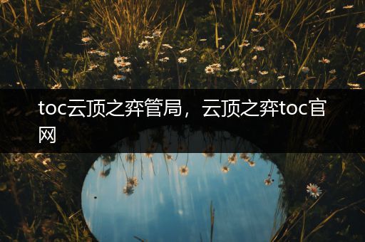 toc云顶之弈管局，云顶之弈toc官网