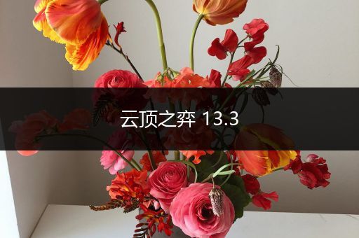 云顶之弈 13.3