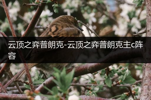 云顶之弈普朗克-云顶之弈普朗克主c阵容