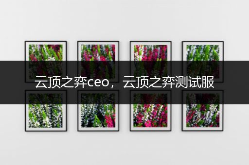 云顶之弈ceo，云顶之弈测试服