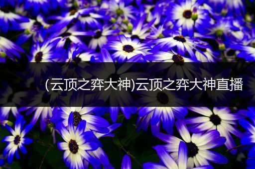 （云顶之弈大神)云顶之弈大神直播