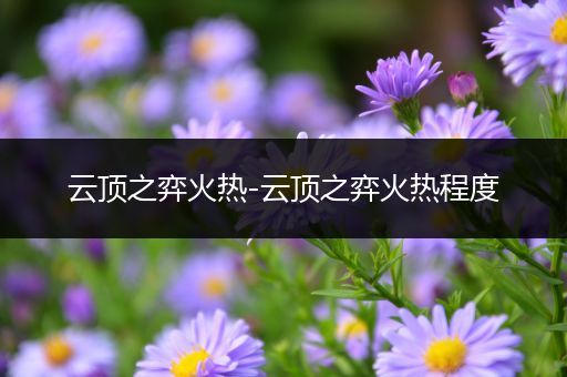 云顶之弈火热-云顶之弈火热程度
