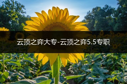 云顶之弈大专-云顶之弈5.5专职