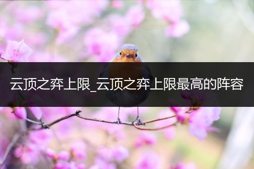 云顶之弈上限_云顶之弈上限最高的阵容
