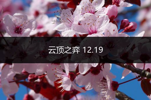 云顶之弈 12.19